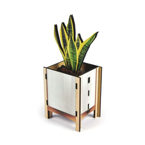 
                  
                    POP DESK PLANT PENCIL HOLDER
                  
                